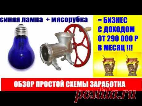 Синяя лампа + мясорубка = Бизнес идея с доходом от 10000 рублей в день.