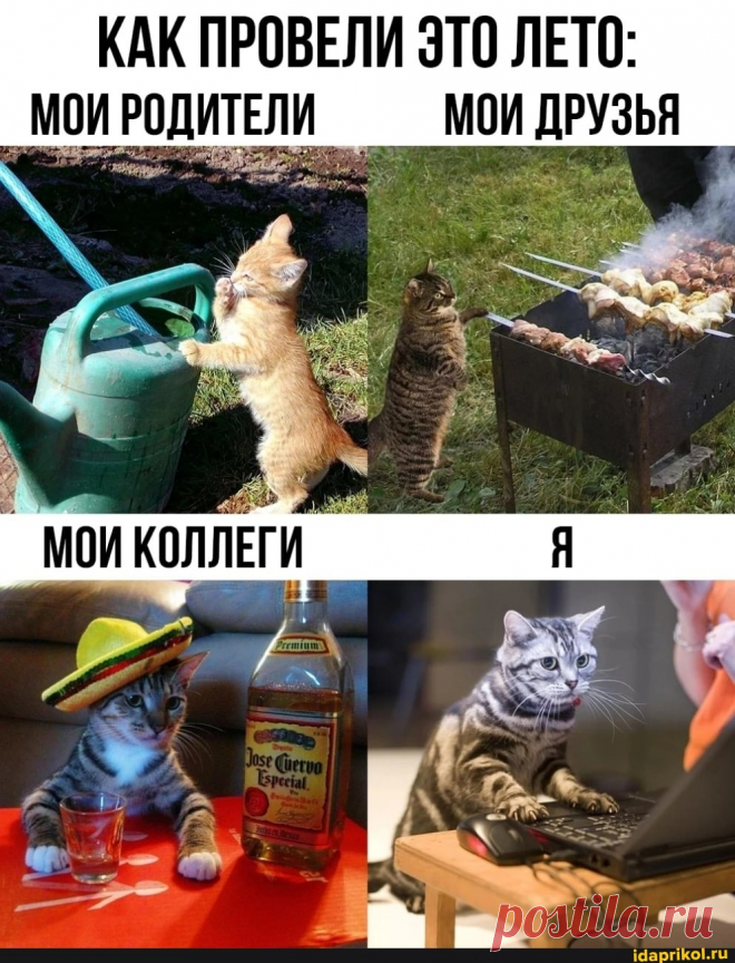 КАК ПРОВЕЛИ ЭТО ЛЕТО: МОИ РОДИТЕЛИ МОИ ДРУЗЬЯ - ) / АйДаПрикол .)