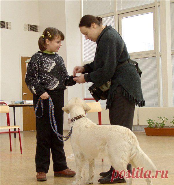 Гений современности

БАБОЧКА - главная примета летнего счастья.
ВЕТЕР - воздух, который не любит покоя. 
 Соня  Шаталова