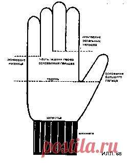 Если вы хотите научиться вязать перчатки