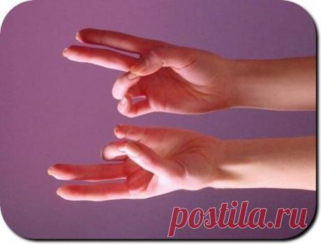 Притхви Мудра - лечит усталость, обеспечивают питание и стабильность Притхви Мудра восстанавливает энергию в корневой чакре. Притхви Мудра увеличивает элемент земли в организме, тем самым обеспечивая питание всех органов имеющих дефицит любого рода. Притхви Мудра хороша для костей, кожи, хрящей,