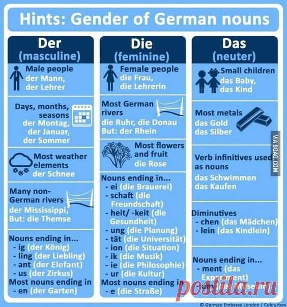 Табличка-подсказка по родам существительных ⤵ / Изучение немецкого языка