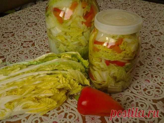 Пекинская капуста маринованная от Нины Столбовой