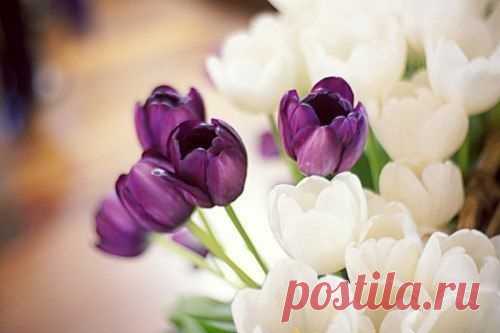 Поздравляем с Днём рождения всех, кто родился - 20 февраля! 😘😘😘