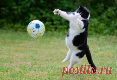 Давайте придумаем смешной комментарий для фото :)