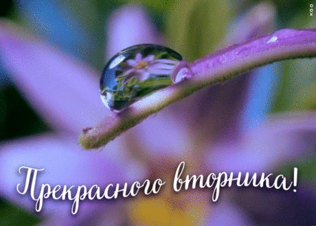 Прекрасного вторника