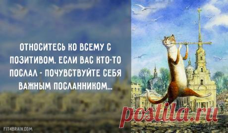 Копилка самых бесценных работающих советов! - медиаплатформа МирТесен