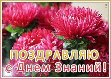 С Днём знаний, ребята! С Днём знаний, друзья!
Запомните праздничный день сентября.
Пройдёт интересно учебный пусть год,
Вперёд к достижениям, к целям вперёд.