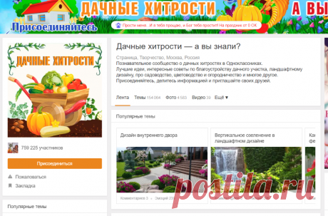 (20) Одноклассники