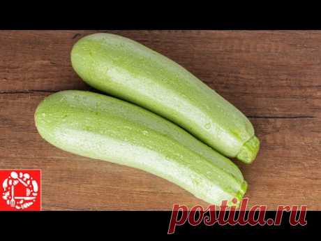 5 КОРОННЫХ БЛЮД на Целое Лето! Вкуснейшие РЕЦЕПТЫ из КАБАЧКОВ