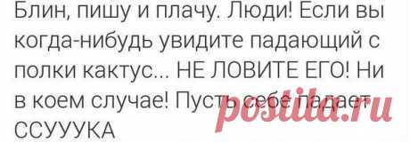 Не ловите кактусы!