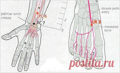 Акупунктурные точки для похудения помогут быстро сбросить лишний вес