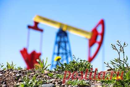 Мировому рынку нефти предрекли дисбаланс
