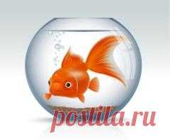 Сегодня 19 декабря отмечается 