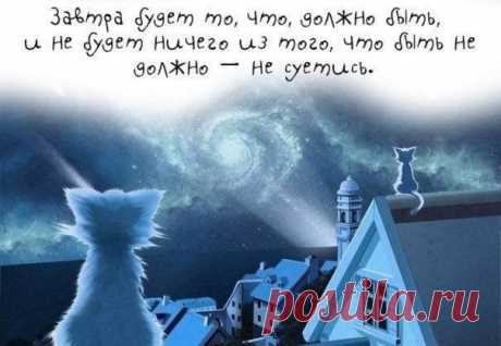 ФРАЗА ДНЯ.