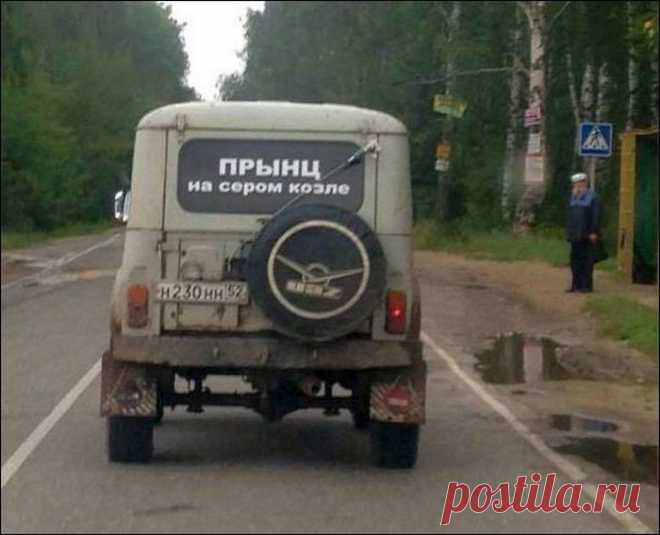 Привет от прынца на сером козле! Игривые вывески и объявления, которые не дадут скучать!