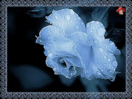 446066587349587.gif (467×350)
