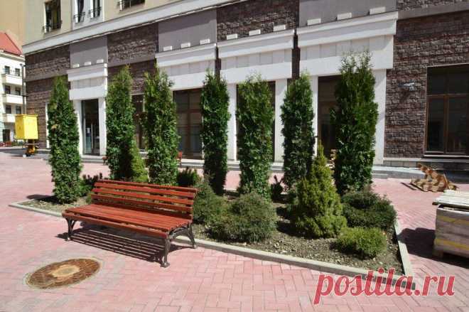 Банк в Красной Поляне