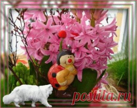 Люди на сайте «Золотые Руки»