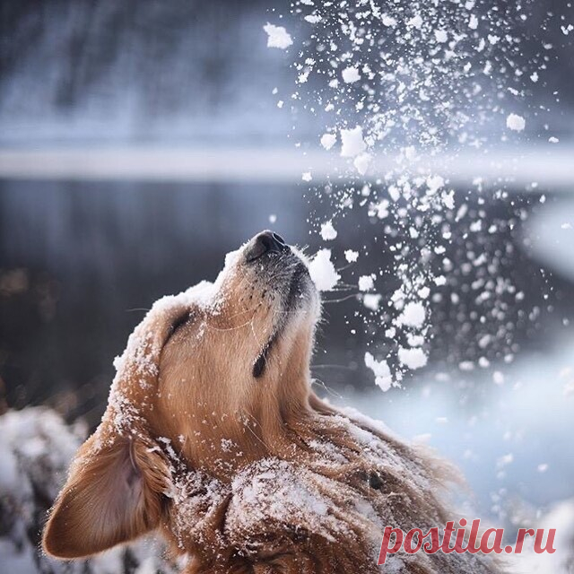 Доброе утро снег)