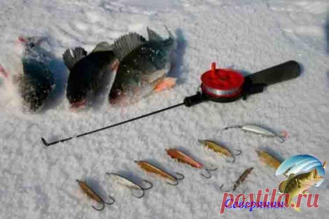 Уловистые зимние блесны: ТОП-3 Одним из самых уловистых приманок зимой на хищника считаются блесны. На них ловят все виды хищной рыбы — окунь судак, щука, налим и другие. В этой статье пойдет речь о самых уловистых зимних …