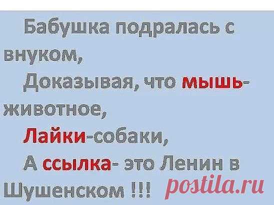 Улыбнуло...)))