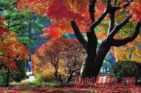 Интересные новости