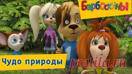 Картинки из мультика Барбоскины (35 фото) ⭐ Забавник