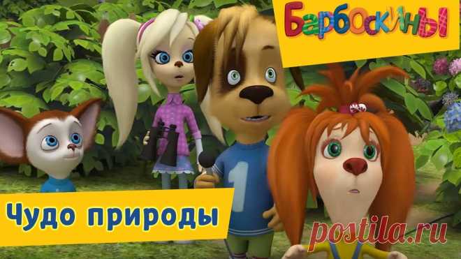 Картинки из мультика Барбоскины (35 фото) ⭐ Забавник