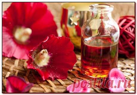 Что такое мацерат, инфуз, масляный экстракт и как их сделать в домашних условиях