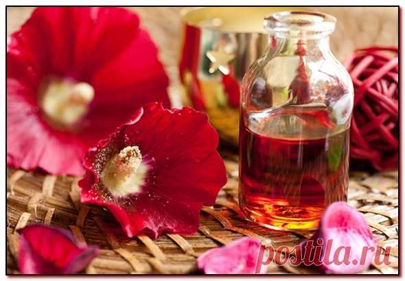 Что такое мацерат, инфуз, масляный экстракт и как их сделать в домашних условиях