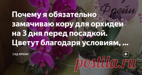 Почему я обязательно замачиваю кору для орхидеи на 3 дня перед посадкой. Цветут благодаря условиям, а не стрессу Правильная посадка и режим полива - залог долгой и приятной дружбы