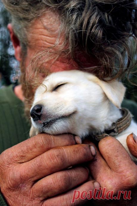 Сильные фотографии бездомных и их собак / Питомцы