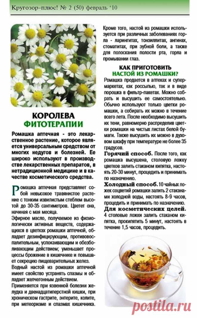 Ромашка - королева фитотерапии