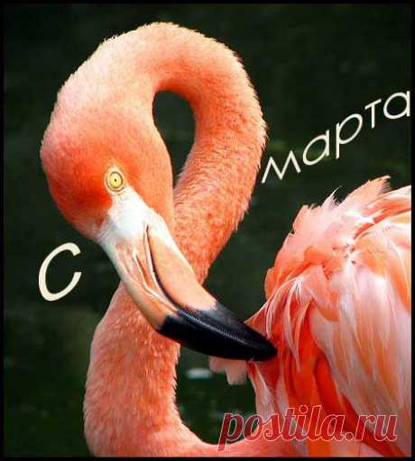 Открытки с 8 Марта