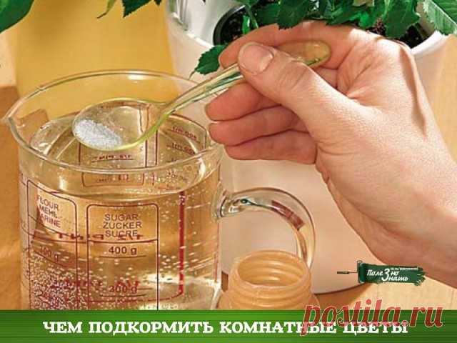 10 непрочитанных чатов