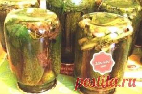 Маринованные огурцы на зиму - Закрутки на зиму