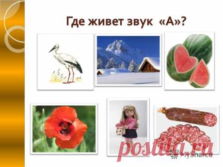 Картинки со звуком А в начале слова (12 фото) ⭐ Забавник