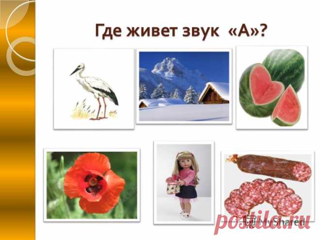 Картинки со звуком А в начале слова (12 фото) ⭐ Забавник