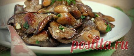 Вешенки – 5 легких и вкусных рецептов