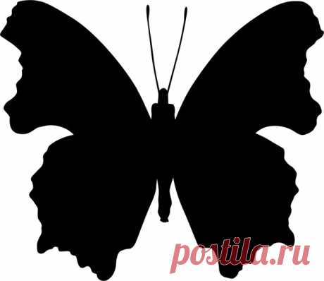 Декор стен бабочками своими руками: трафареты, шаблоны для вырезания из бумаги, фото