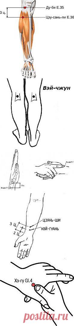 Полезные биологически активные точки. Четыре общие точки Сы Цзун Сюэ.
