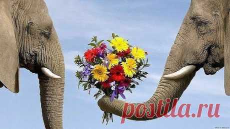 (99) Одноклассники