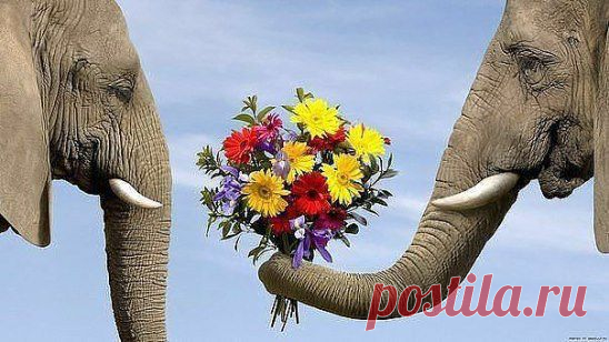 (99) Одноклассники