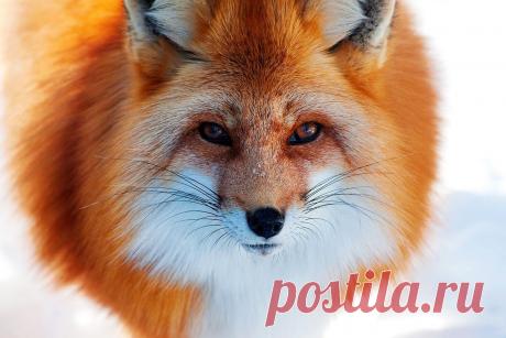 Фотографии на стене сообщества | 19 484 фотографии