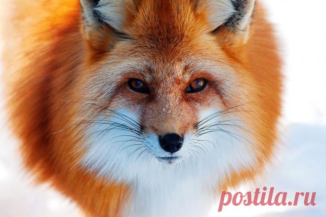 Фотографии на стене сообщества | 19 484 фотографии