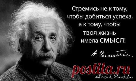 Бизнес цитаты | Мотивация