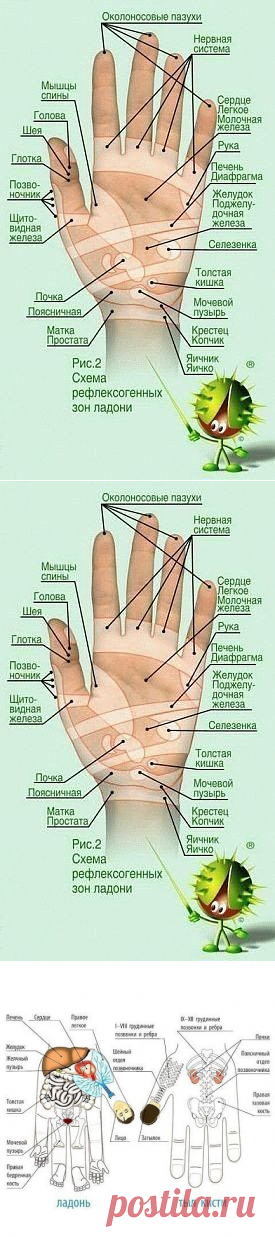 Тайная сила… мизинца