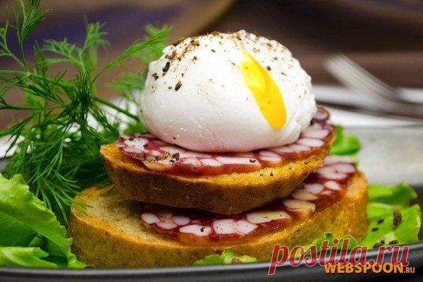 Яйцо-пашот - рецепт с фото | Как правильно приготовить яйца-пашот на Webspoon.ru