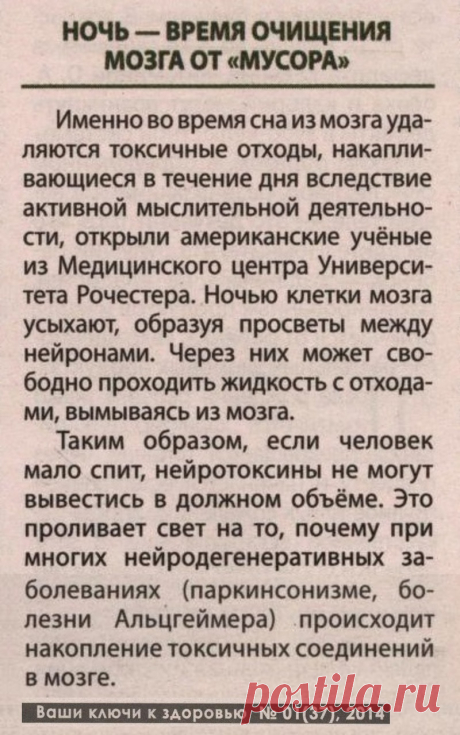 Ночь - время очищения мозга от &quot;мусора&quot;
